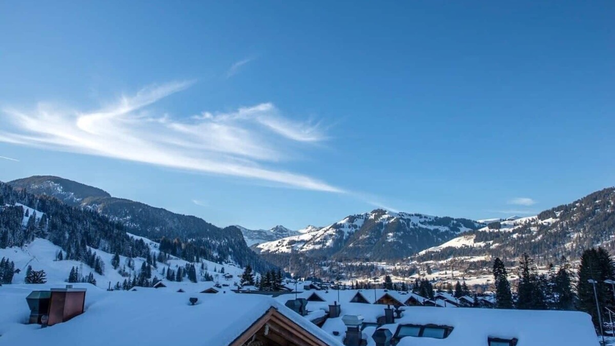 Gstaad Apartment | Deluxe Apartment with Mezzanine