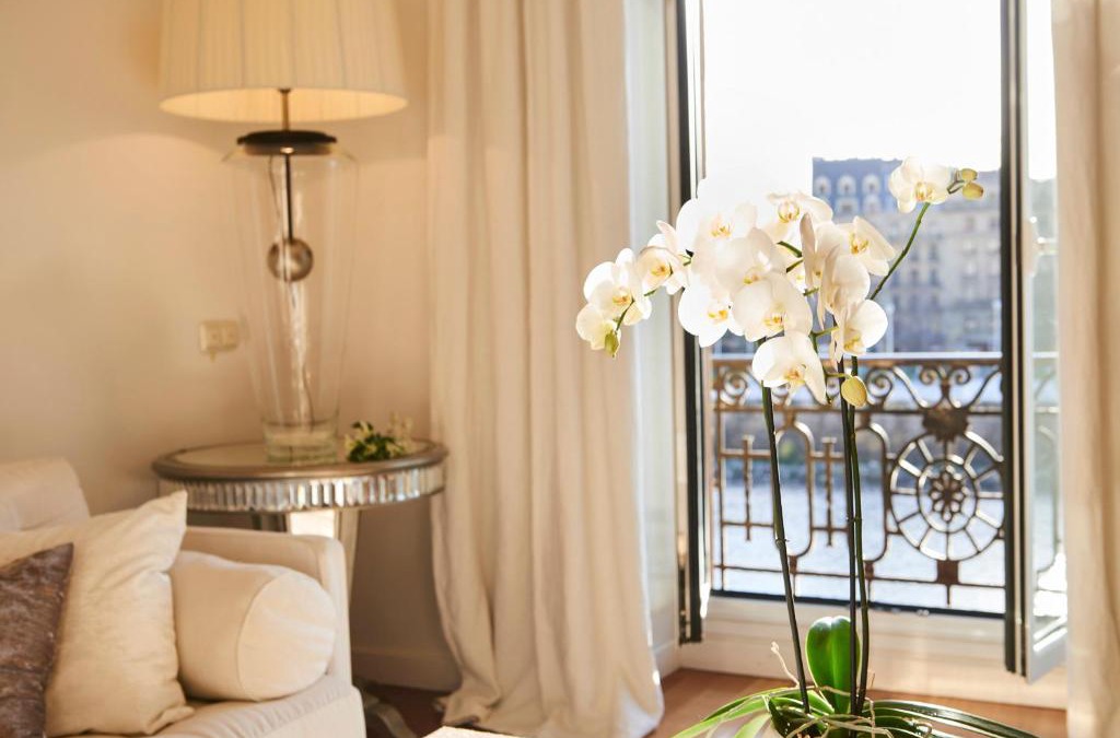 Gros Apartment | Deluxe Apt-Views to historic Maria Cristina Hotel