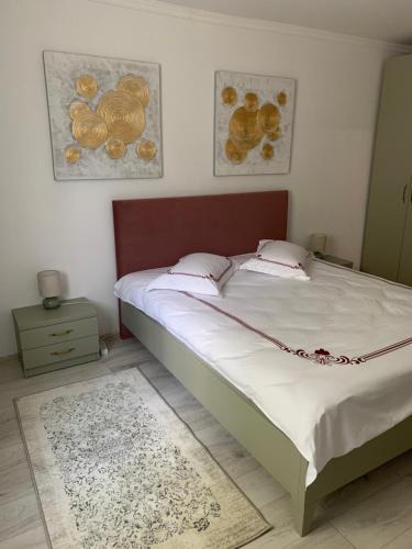 Piatra Neamt Apartment | Deluxe studio