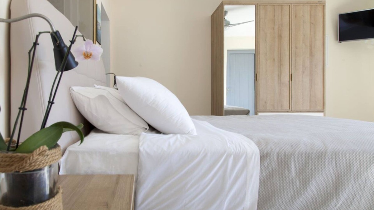 Evgiros Apartment | Deluxe suite with plunge pool
