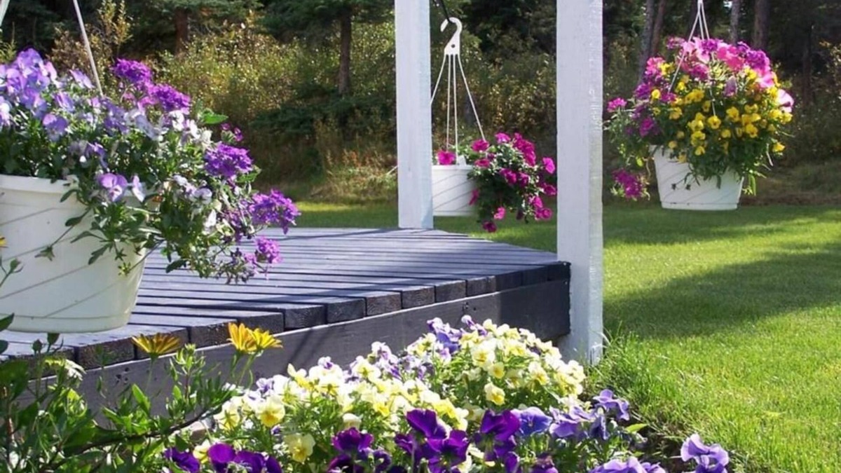 Healy Bed & Breakfast | Denali Primrose B&B