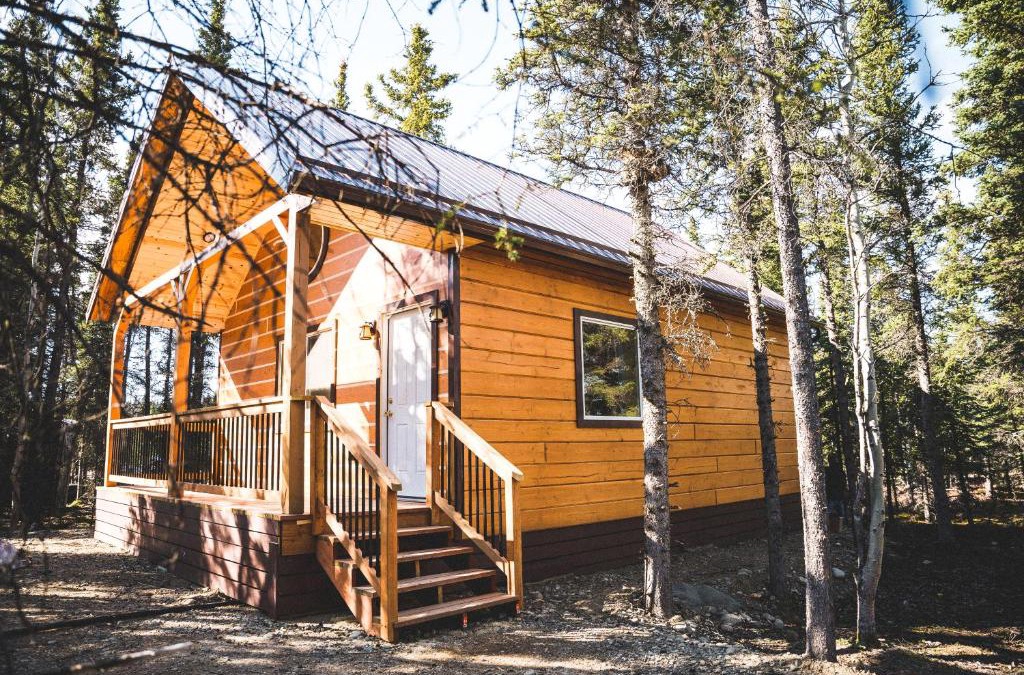 Healy House | Denali Wild Stay - Redfox Cabin, Free Wifi, private, sleep 6
