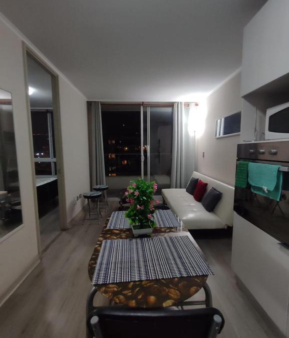 Vina del Mar Apartment | Depto centrico viña
