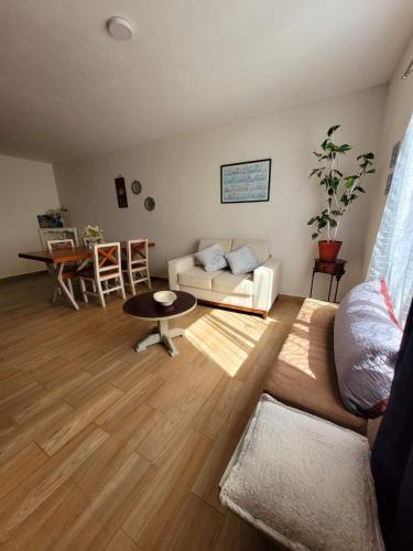 Santa Lucia Apartment | Depto. Pucón
