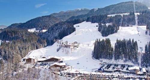 Scheffau am Wilden Kaiser Hotel | Der Waldhof