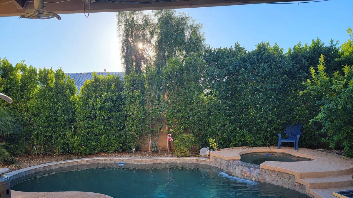 Avondale House | Desert Oasis. Backyard Resort, Pool, Hot Tub, outdoor kitchen.