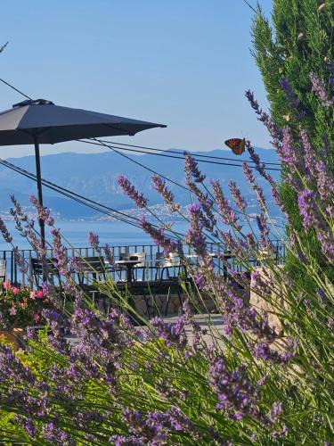Vrbnik Hotel | DESIGN hotel VERBENICUM