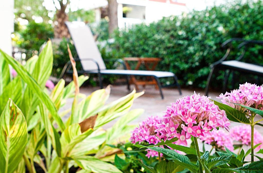 Tybee Island Hotel | DeSoto Beach Gardens