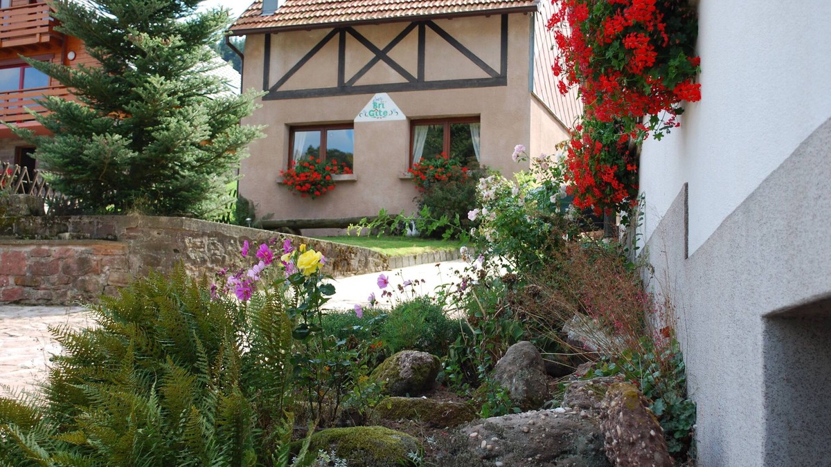 Wangenbourg-Engenthal House | Detached house for 4 people