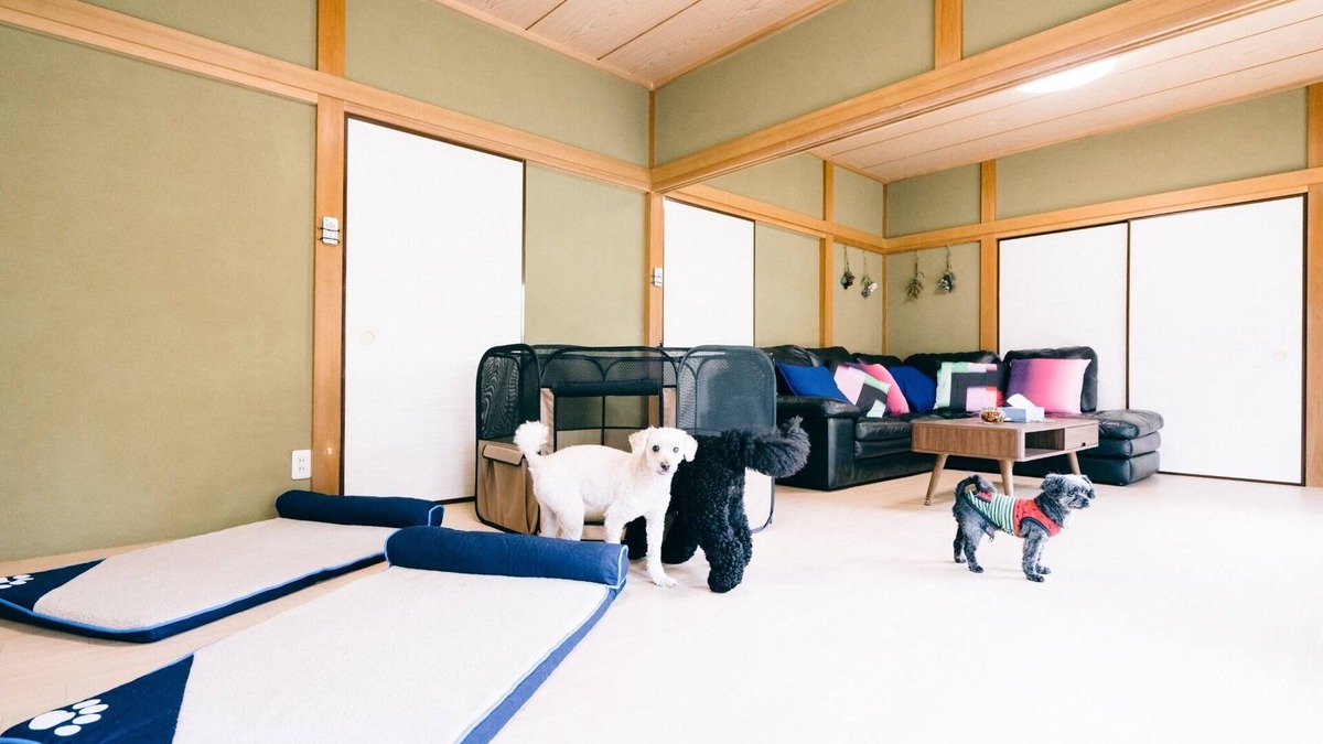 Kujukuri House | Detached private guest house with dog run nonsmo/Sambu-gun Chiba