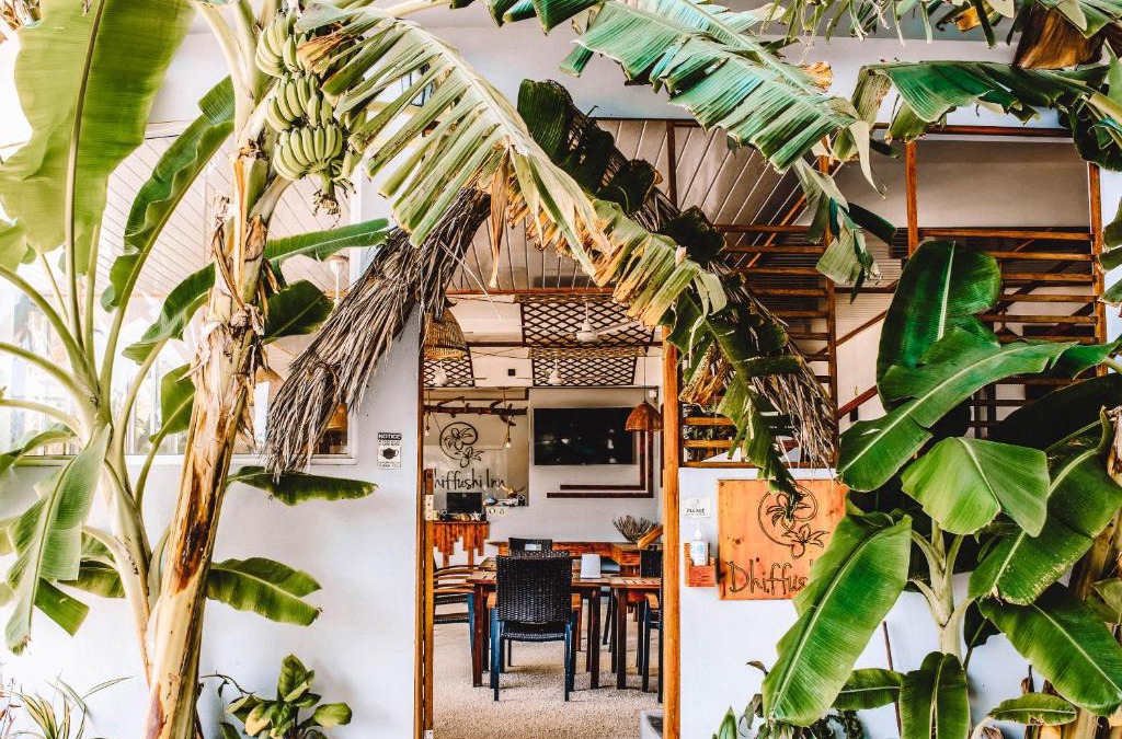 Dhiffushi House | Dhiffushi Inn