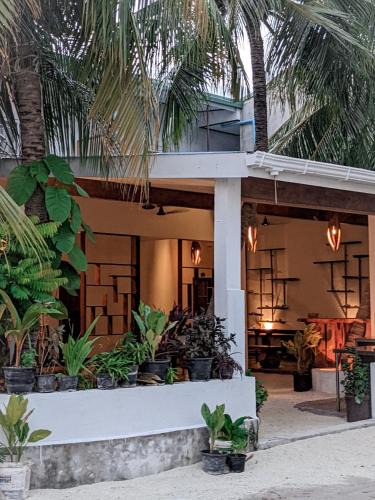 Thulusdhoo Island Hotel | Dhoadhi Retreat