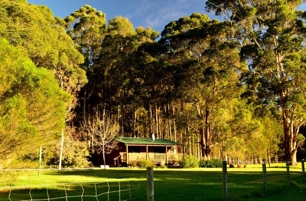 Middlesex House | Diamond Forest Farm Stay