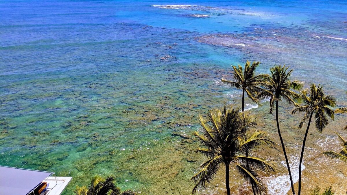 Diamond Head - Kapahulu - St. Louis Condo | Diamond Head Beach Hotel beautiful panoramic views 1 bdr oceanfront condo.