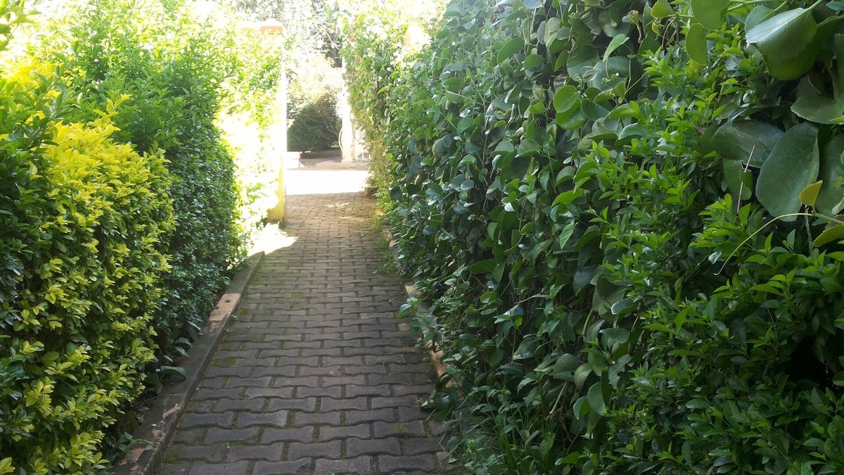 Gulu Hotel | Dich Comfort