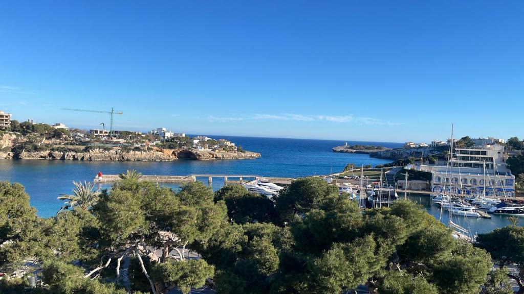 Porto Cristo Apartment | Dimi Holidays Porto Cristo SLU Meerblick Apartment 3- Hafen Porto Cristo 120m zum Strand