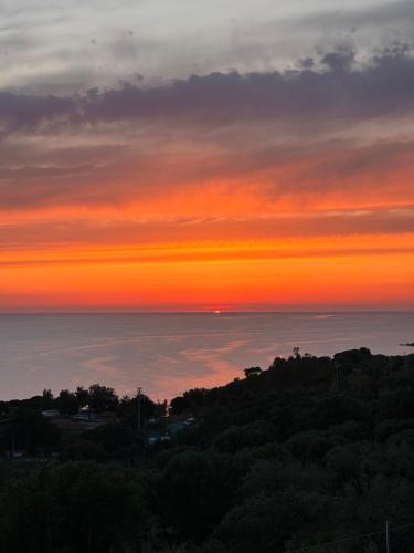 Pisciotta Bed & Breakfast | Dimora degli Ulivi