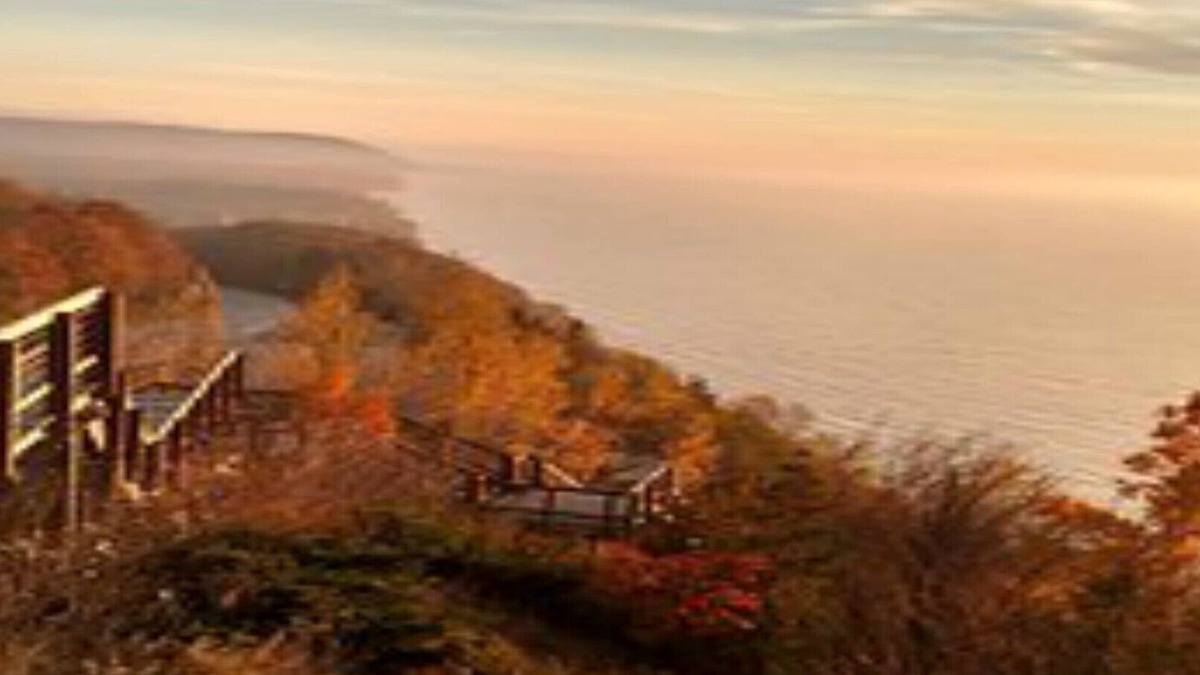 Arcadia House | DIRECT Lake Michigan Access! WALK to Beach! Arcadia BLUFFS 2mi! 2 SEPARATE UNITS