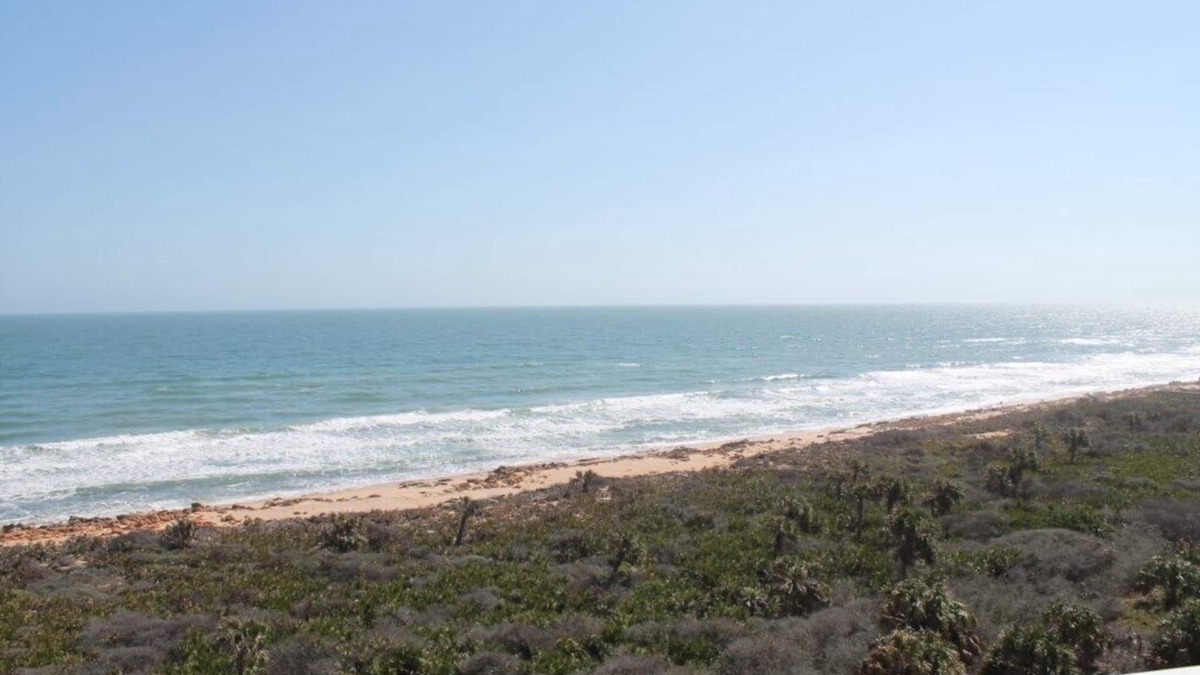 Palm Coast Condo | Direct Ocean View Condo: 2BR/2BA with Elevator - Sleeps 5