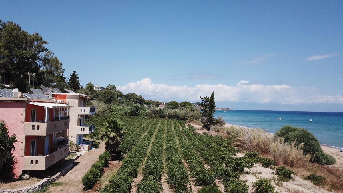 Pylos-Nestoras Apartment | Directly on the fine Memi sandy beach located apartment with sea view.