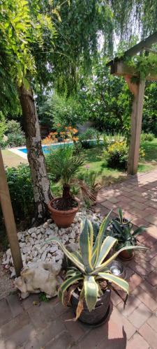 Tilburg House | Directors room Swimmingpool Ecolodge Tilburg