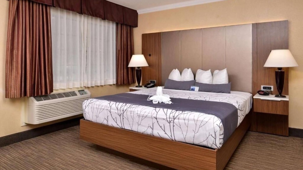 Hollywood Hotel | Discover Hollywood Bliss from This Cozy Room Near Local Landmarks