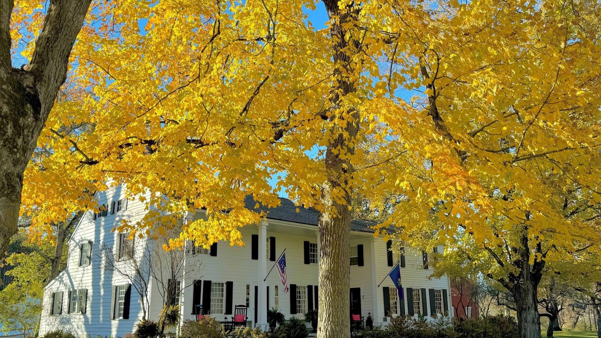 North Bennington House | Discover the rich history of the Henry House, a captivating landmark since 1769.