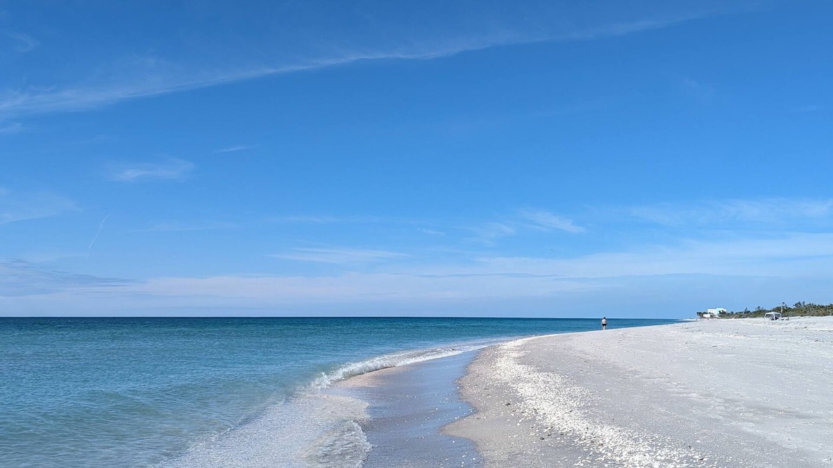 Venice Groves House | Discover Venice's Treasures: Stay Close to Beaches Golfing and Historic Downtown