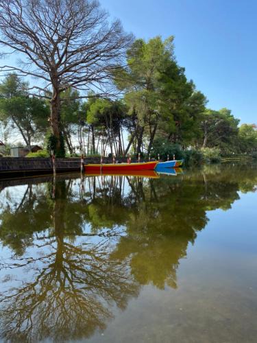 Divjake Apartment | Divjaka Apartments 3 - City Center