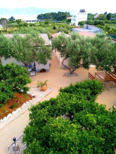 Sucuraj Apartment | Dobra