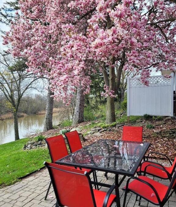 Toledo House | dock, game room, bar and private river view patio