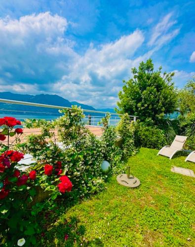 Marone Apartment | Dock House