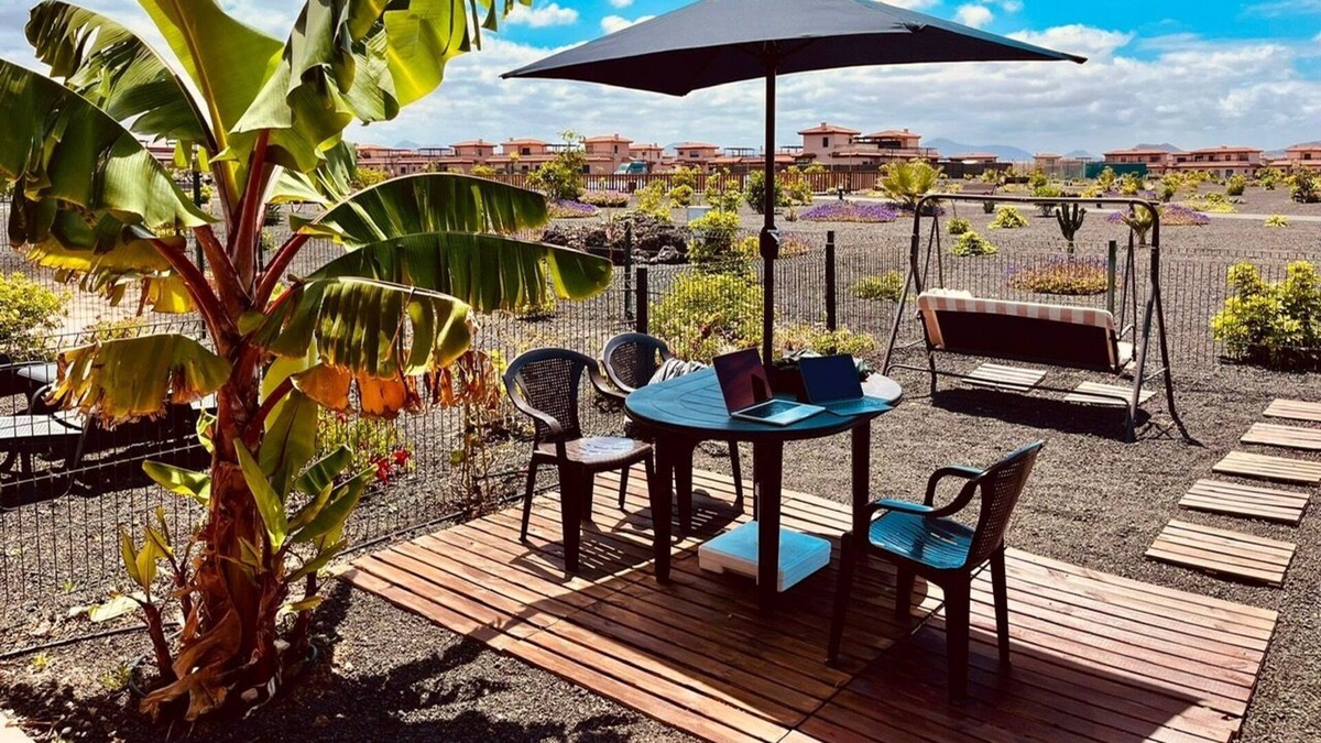 La Oliva House | Dog and family-friendly villa with communal pool