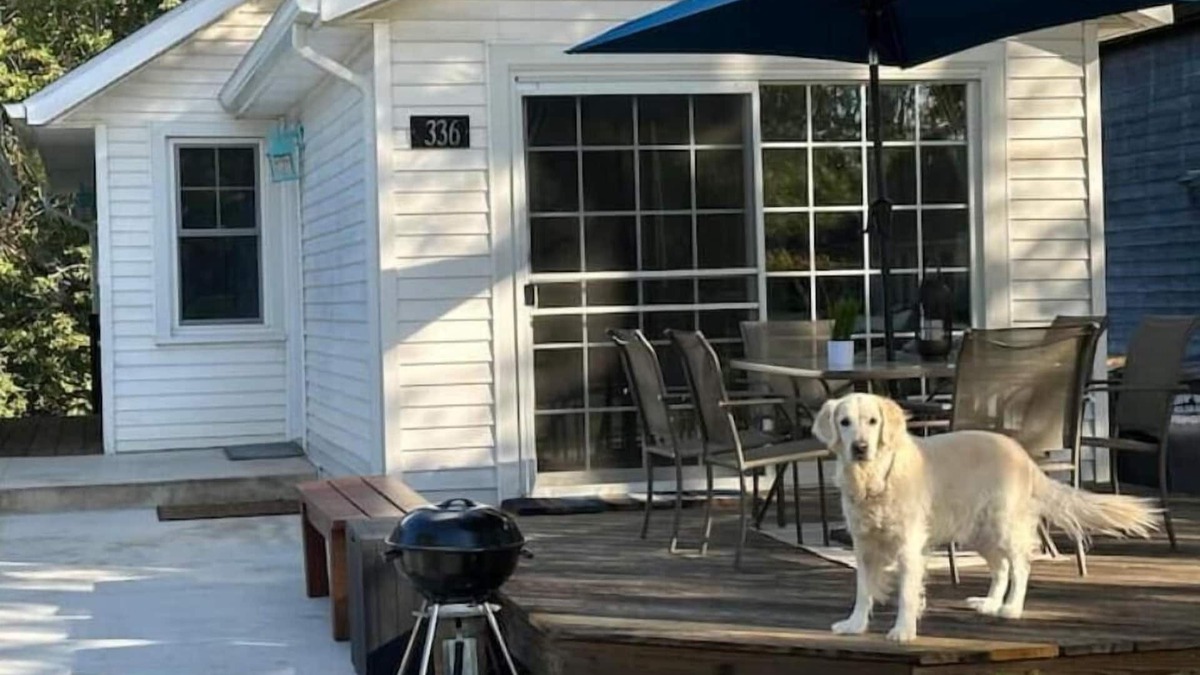 South Haven House | Dog Friendly Beach Cottage within a mile of town and 7 Lake Michigan beaches
