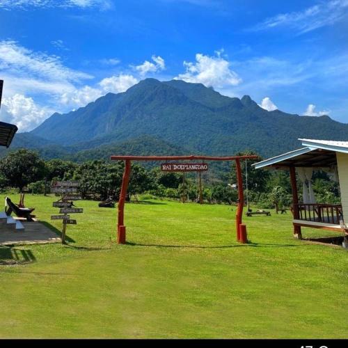 Chiang Dao House | Doi Piang Dao Farm