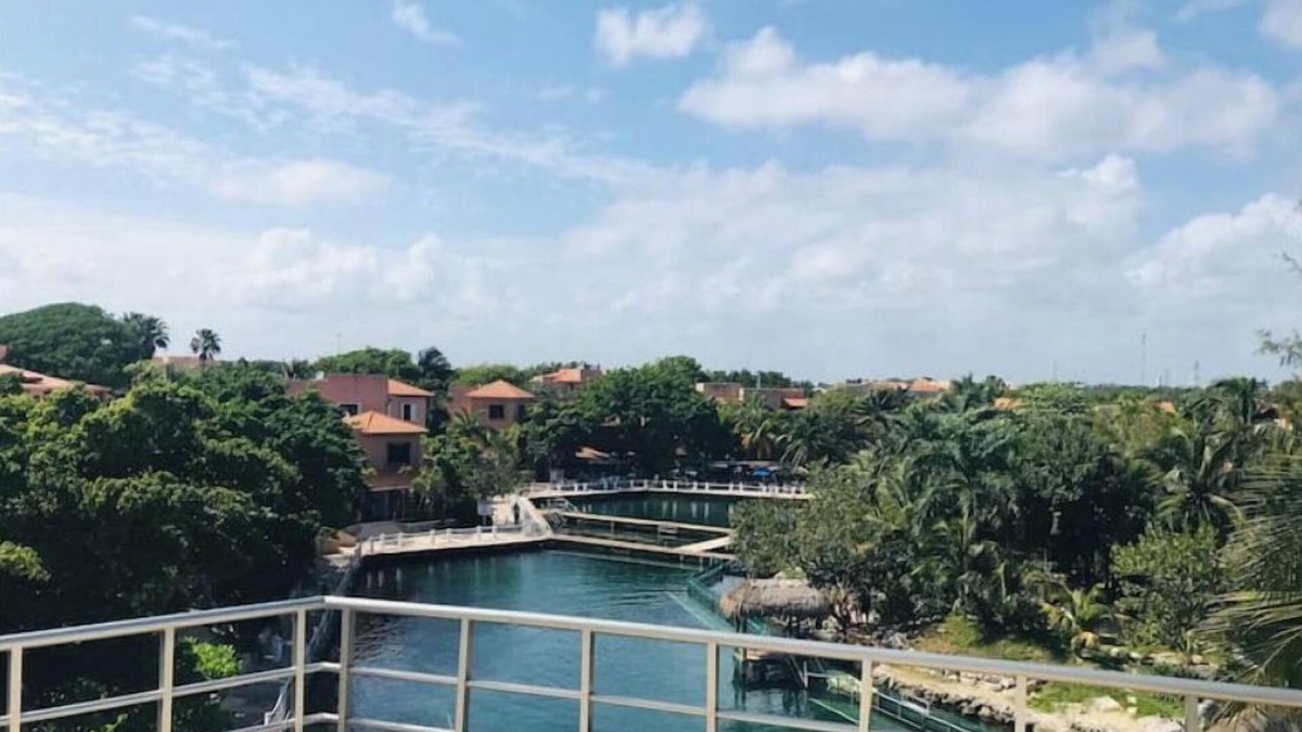 Puerto Aventuras Apartment | Dolphin Condo Puerto Aventuras, vista amazing view
