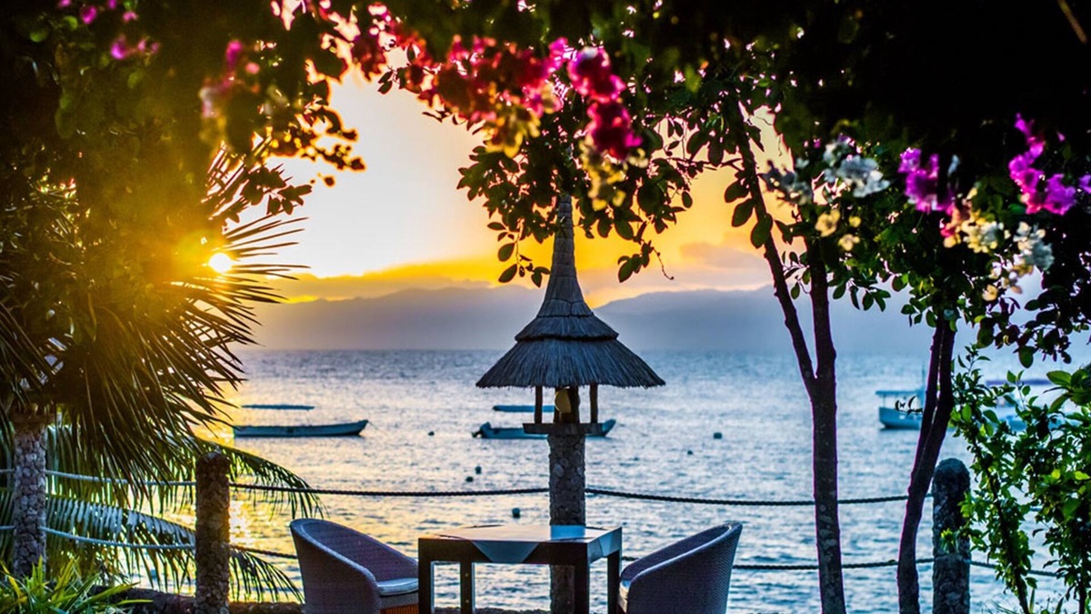 Moalboal Resort | Dolphin House