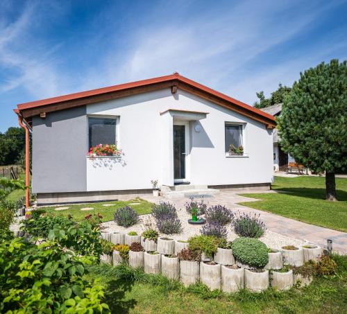Stola House | Dom Joves