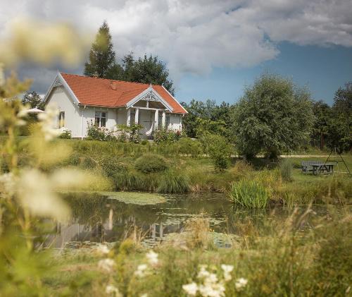 Puck House | Dom nad stawem