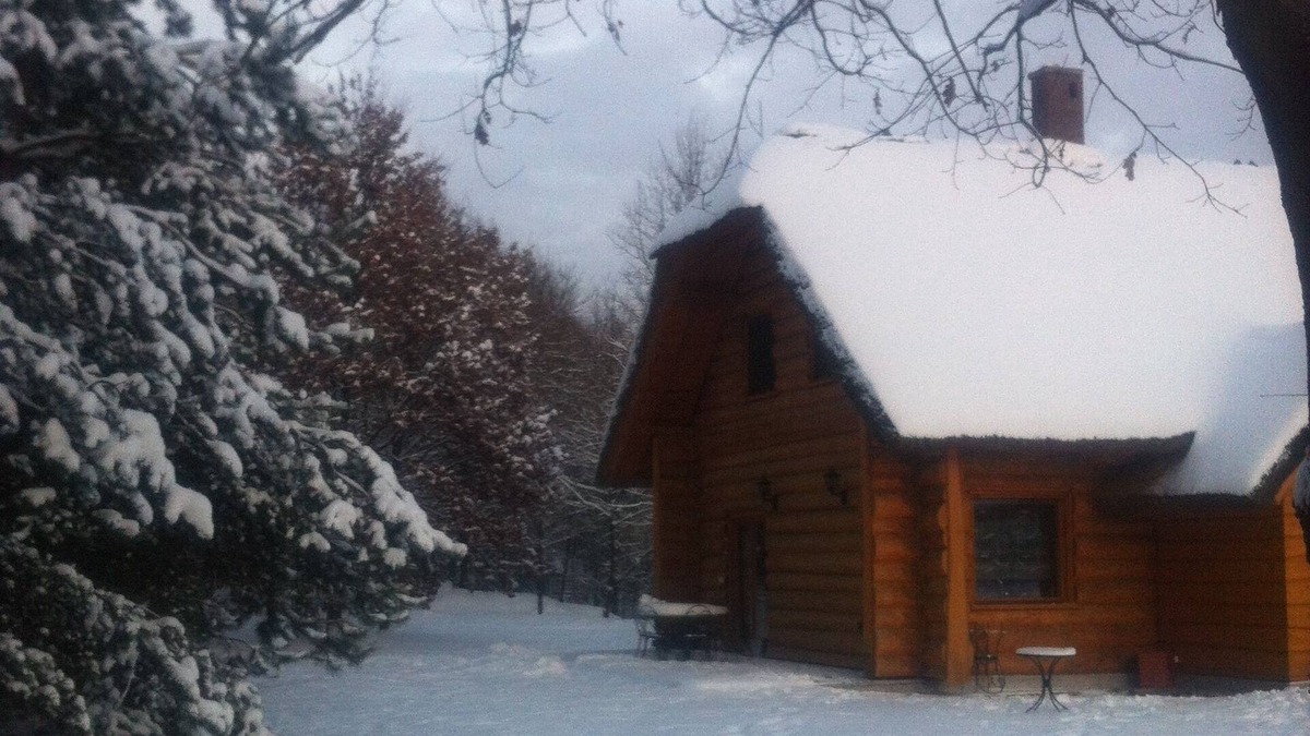 Gryzyna House | DOM POD SOSNAMI