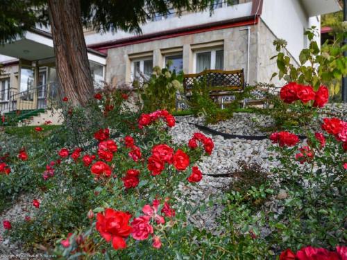 Krynica-Zdroj Resort | Dom Wczasowy Sokolica