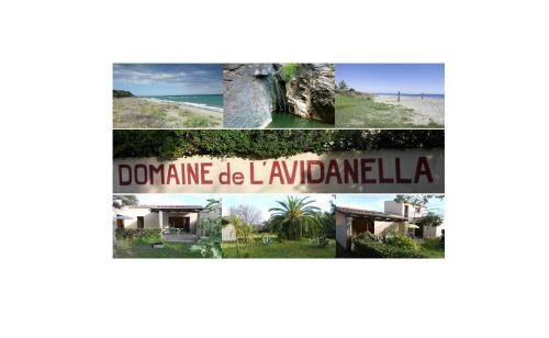 Santa-Lucia-di-Moriani Apartment | Domaine de l'Avidanella