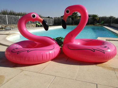 Asnieres-la-Giraud Apartment | Domaine de la Laigne - Spa