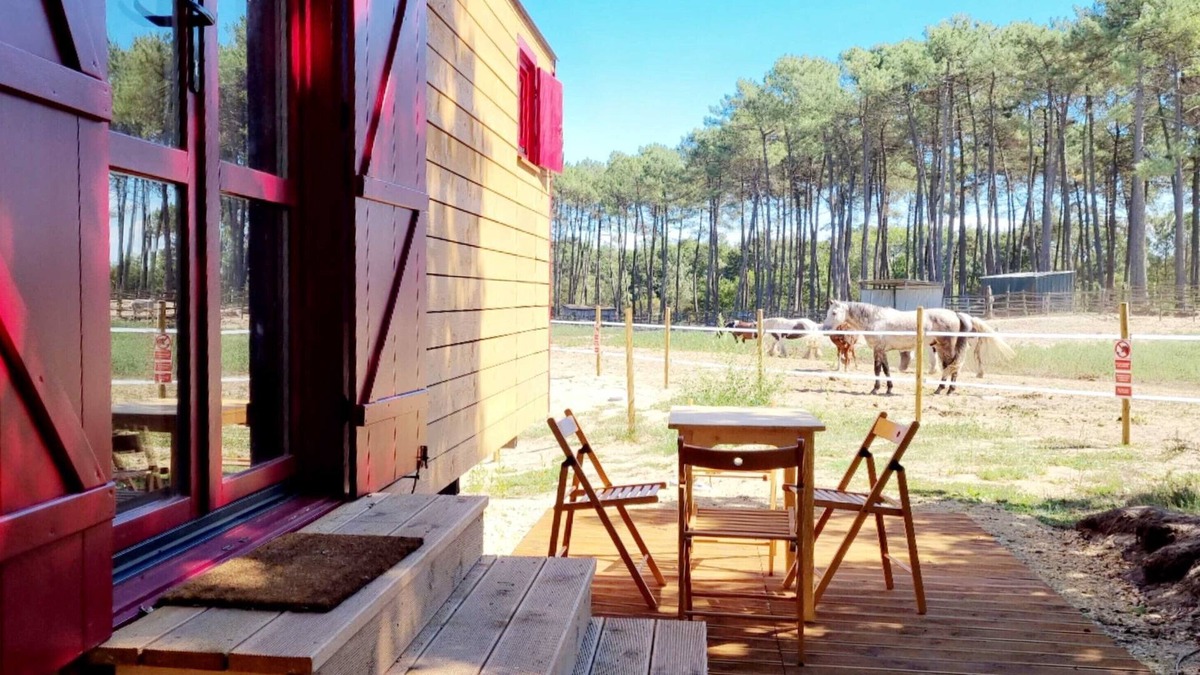 Mees House | Domaine El Campo