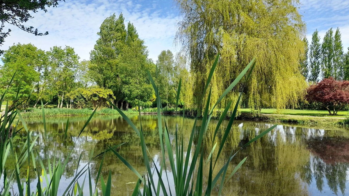 Rue House | Domaine en Pleine Nature, aux Portes de la Baie de Somme