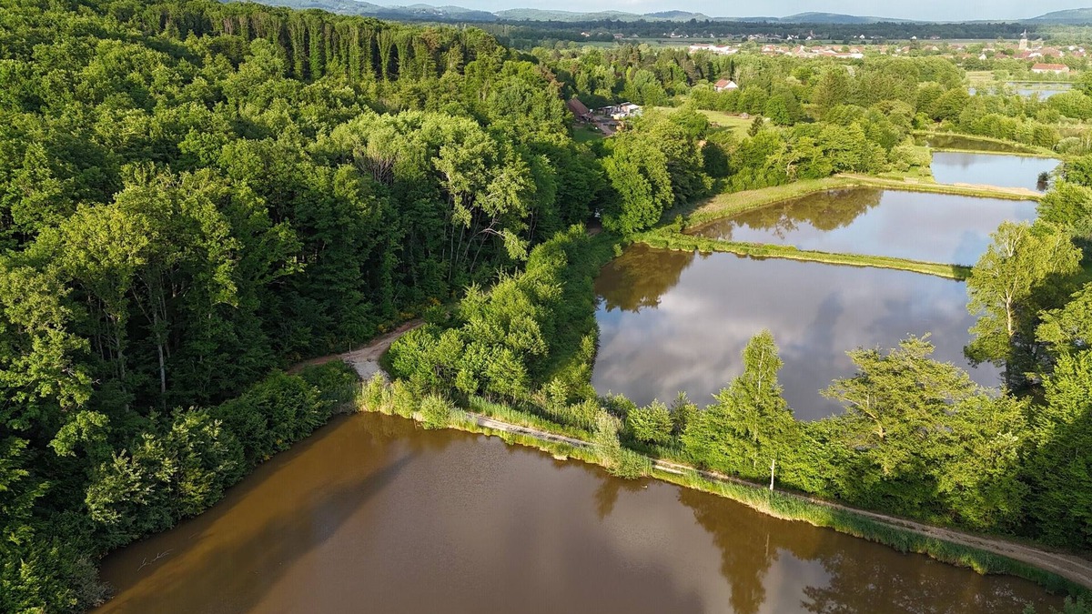 Lachapelle-sous-Chaux Cabin | Domaine du morbues cabin