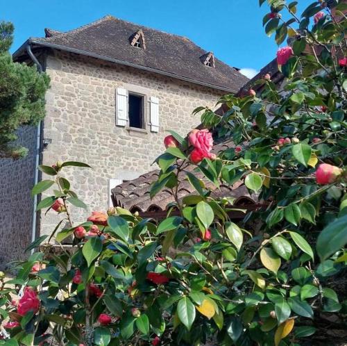 Saint-Estephe Bed & Breakfast | Domaine Le Verger Chambres dhotes de Charme avec Hammam a Saint Estephe