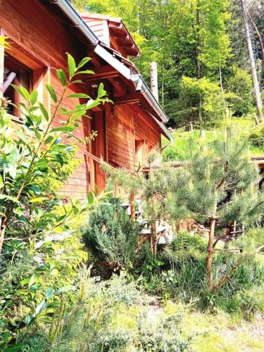 Soultzeren Ski Chalet | Domaine les lodges nature ,private wellness