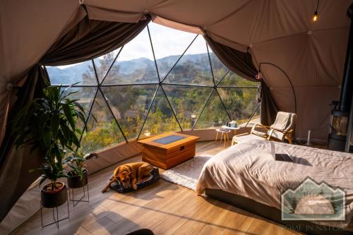 Vavatsinia Other | Dome in Nature