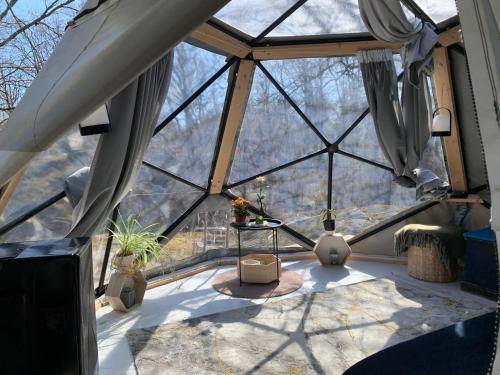 Sydkoster Other | Dome Sonny